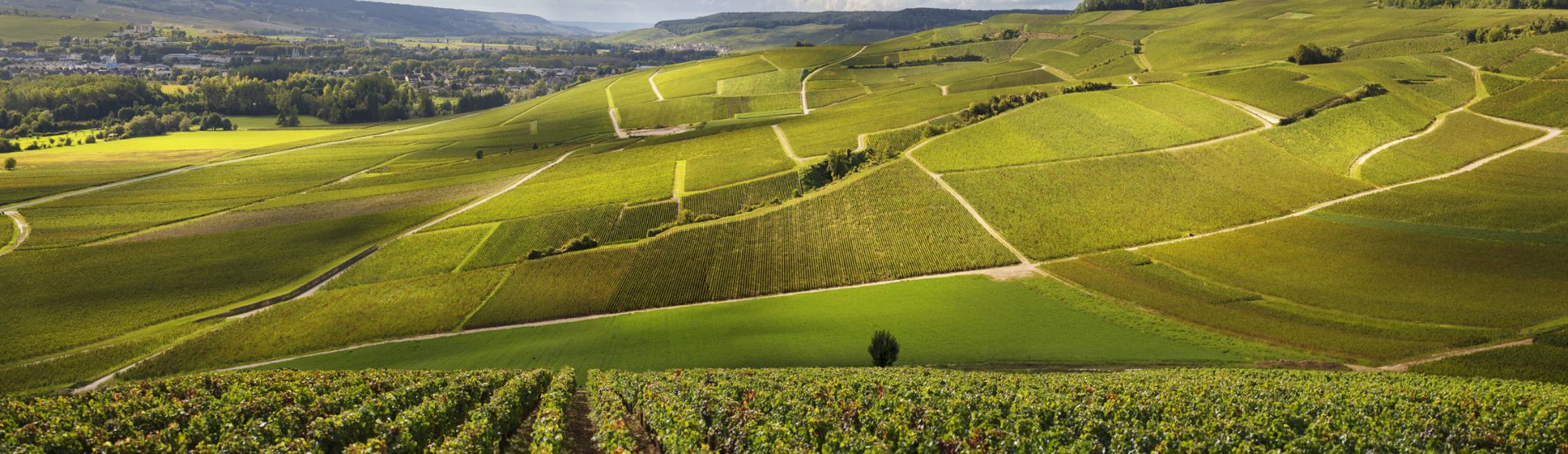 plurihabitat châlons - plurial novilia châlons en champagne